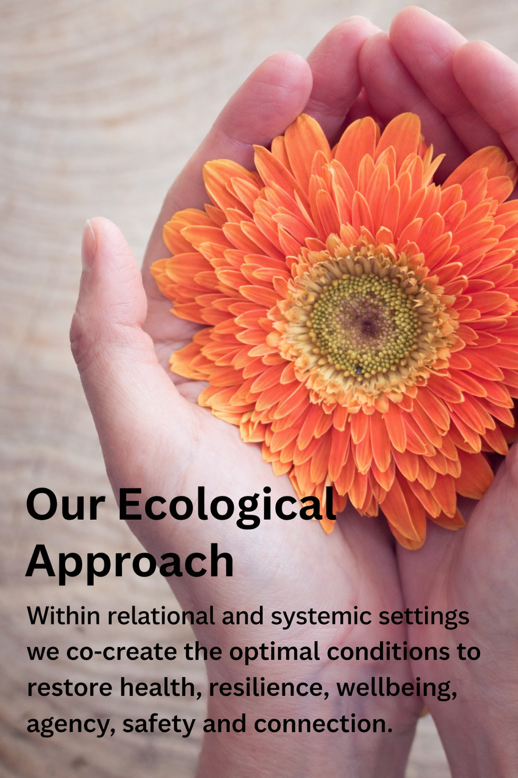 Ecological Approach