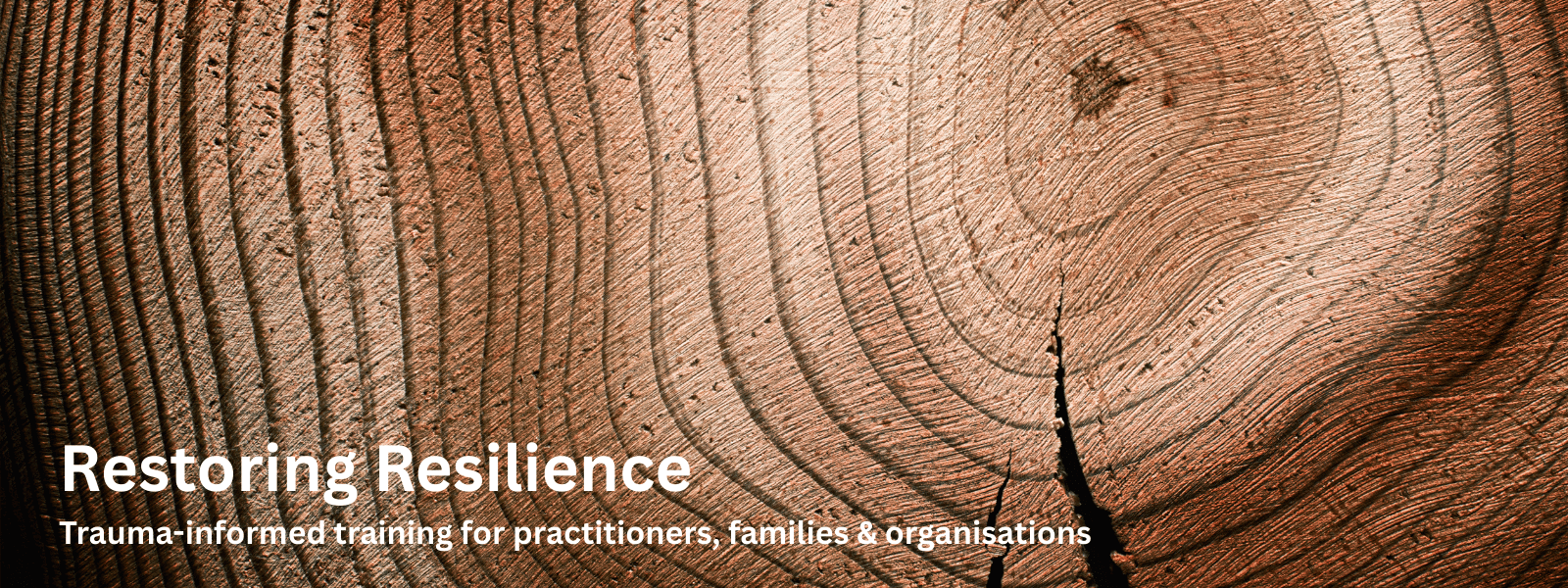 Trauma Informed Training